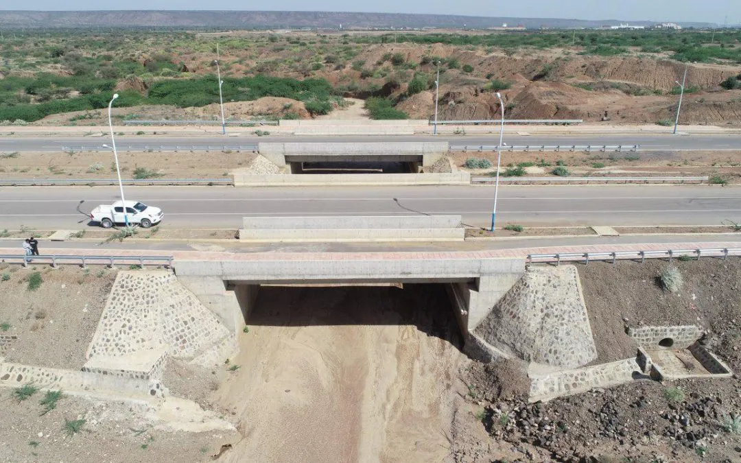 Detailed Engineering Design of Melka Jebdu–Diredawa Industrial Park Design and Build Road Project