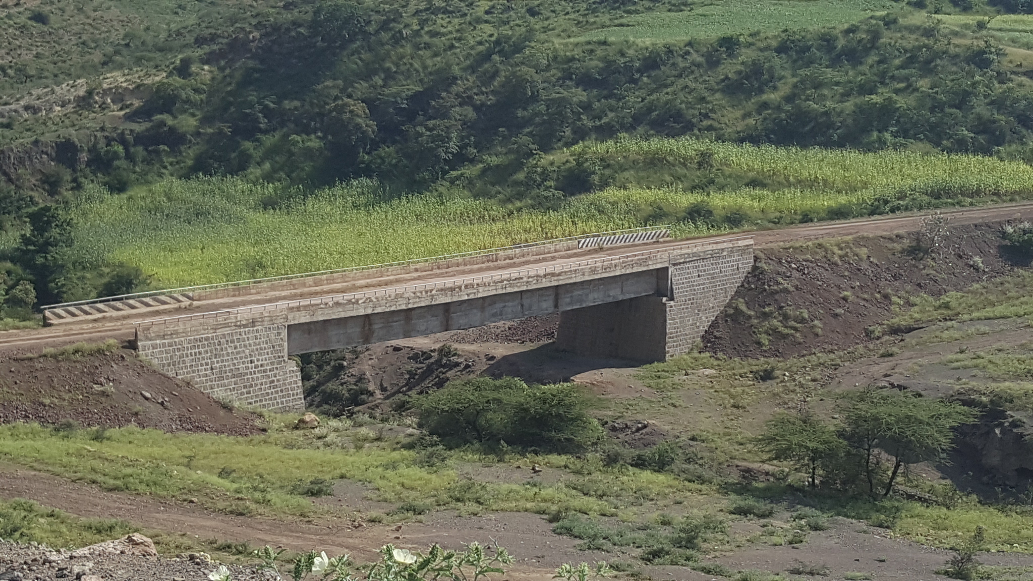 Detailed Engineering Design of Mentamir–Metehbila–Metehara Design and Build Road Project